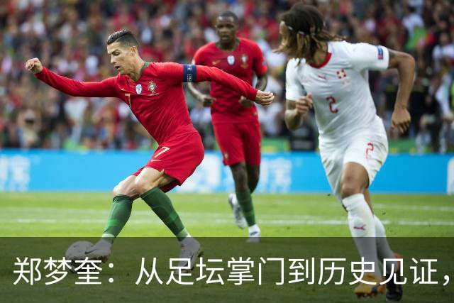 郑梦奎：从足坛掌门到历史见证，韩国足球的未来在何方？