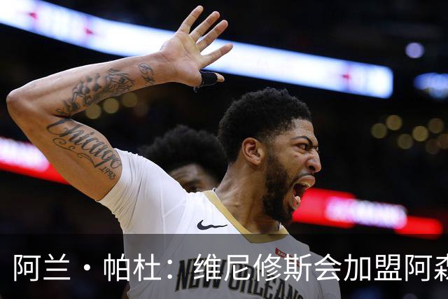 阿兰·帕杜：维尼修斯会加盟阿森纳，他能填补球队左路的空缺
